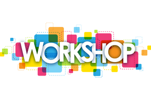 Workshop PFD Landkreis Görlitz
