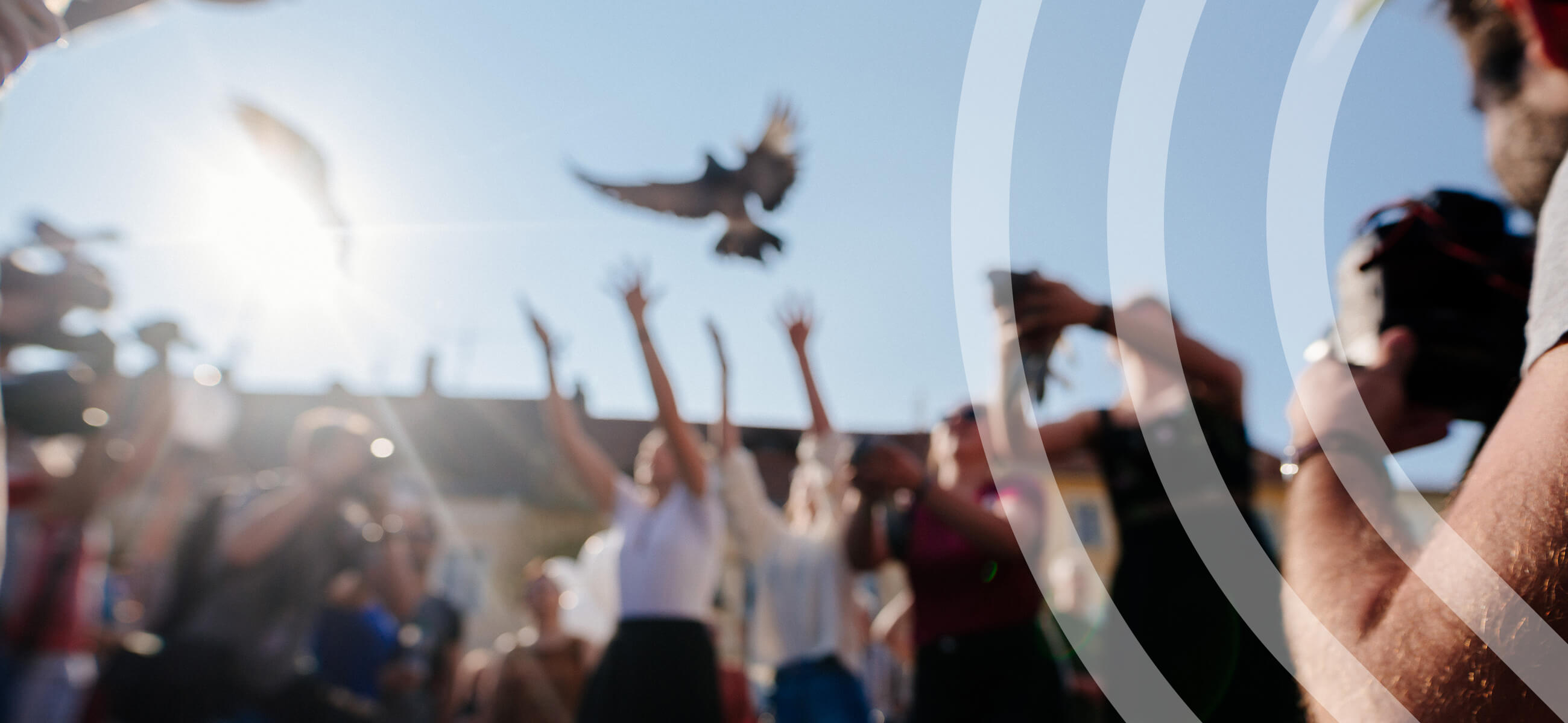 Eine Gruppe von Menschen steht zusammen und lässt beim Friedensfest in Ostritz Tauben in die Luft fliegen.